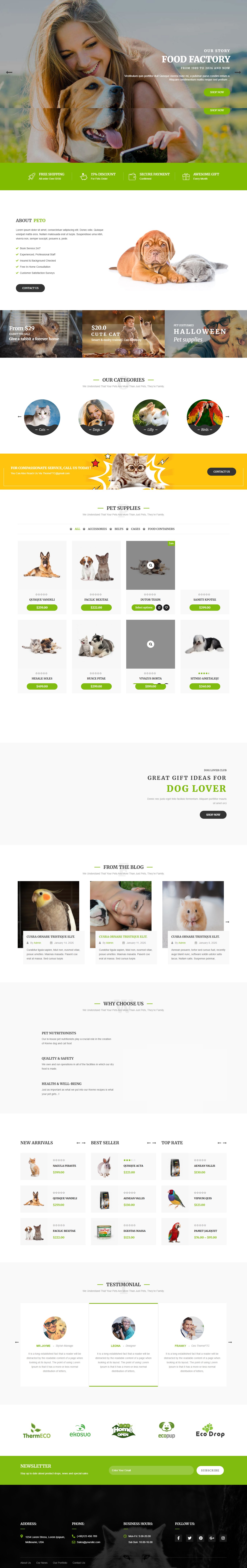 Your professional website